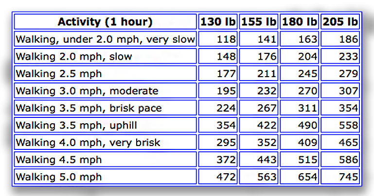 30 minutes brisk walking calories burned