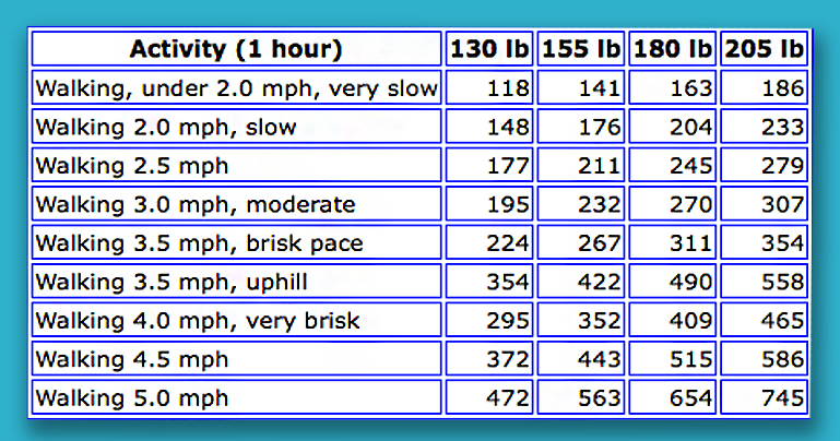 one hour of brisk walking calories